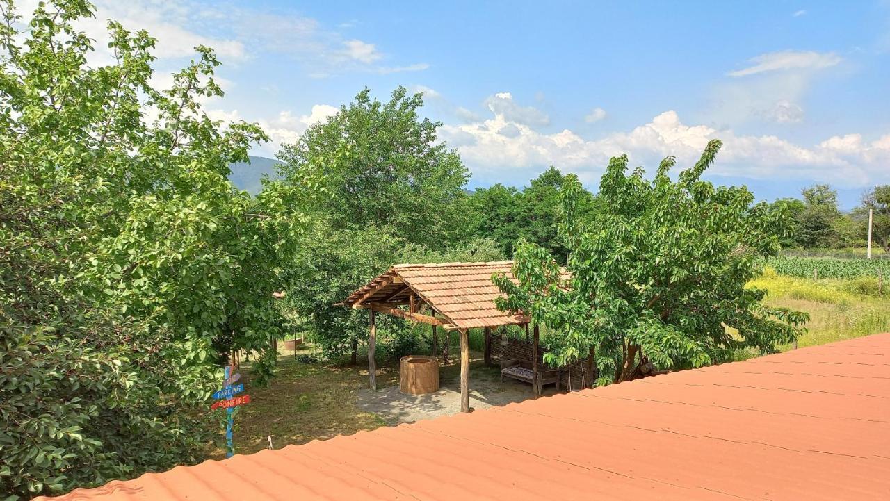 Veli Guest House • Საოჯახო Სასტუმრო Ველი Zemo Alvani Exterior photo